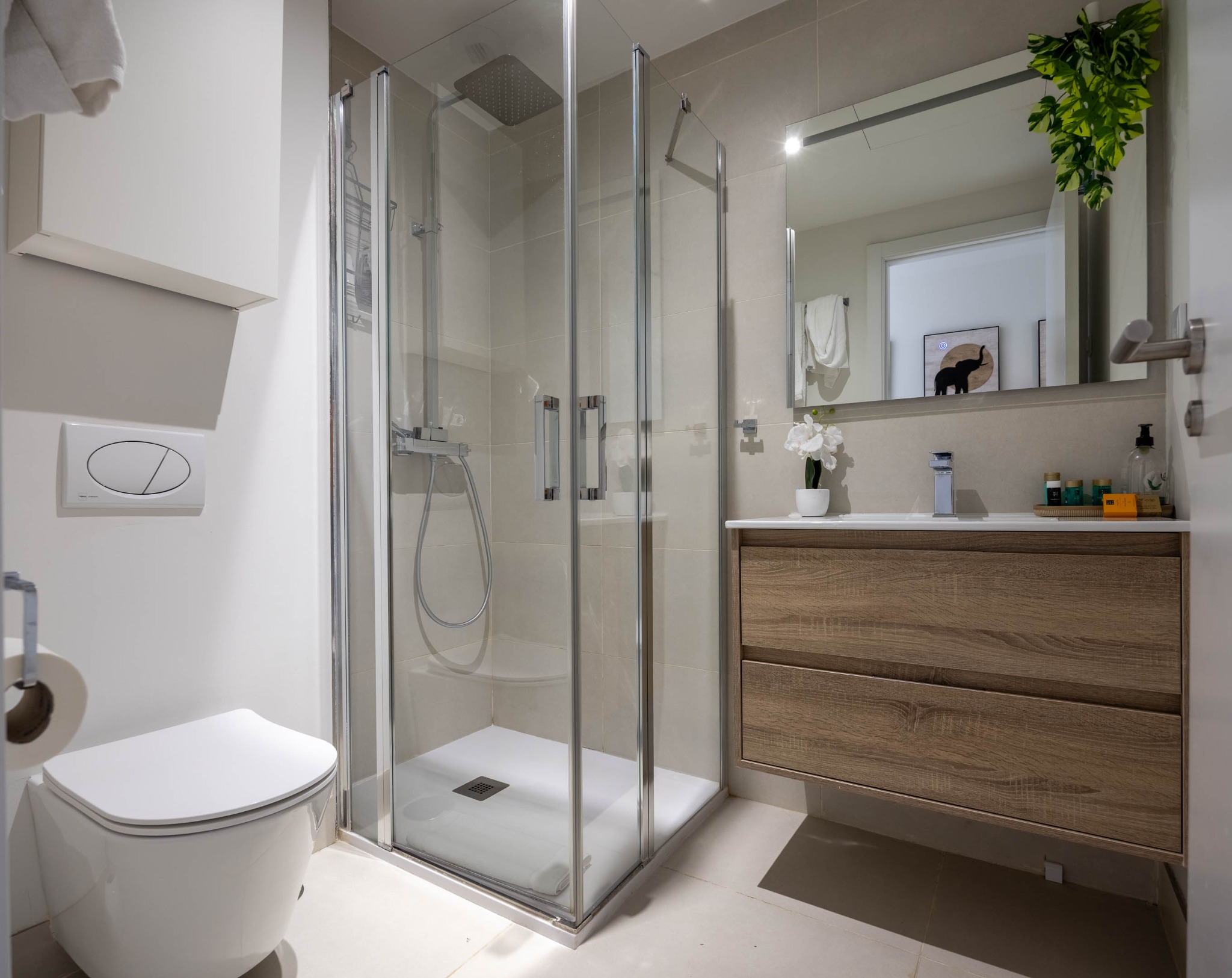 Second guest bathroom with shower