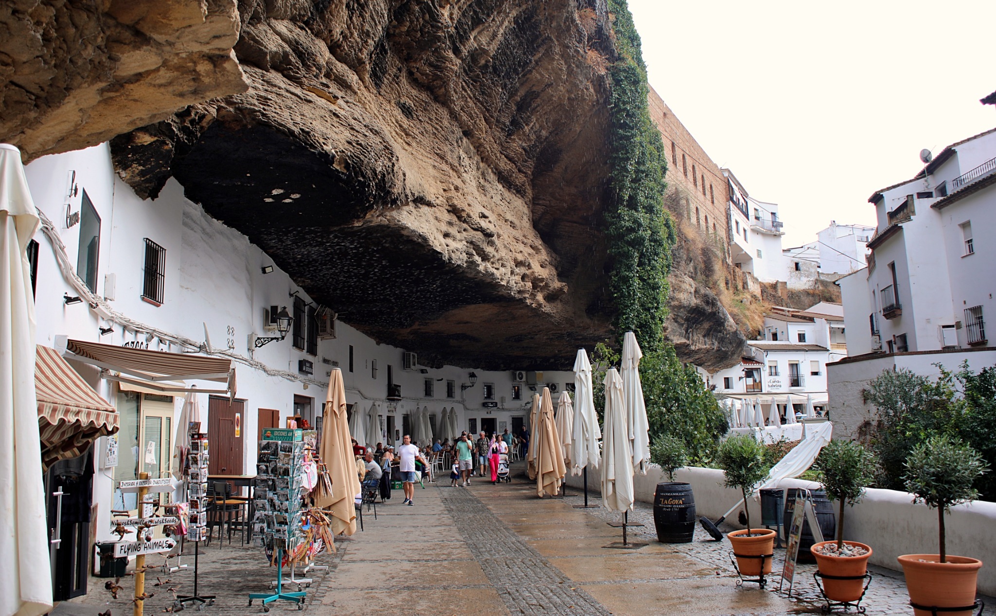 Ronda